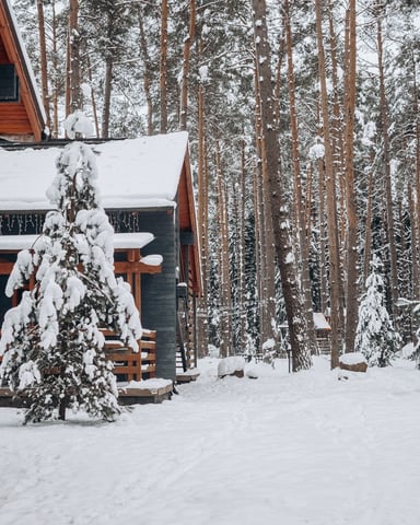Last-Minute Vacation in Winter Park