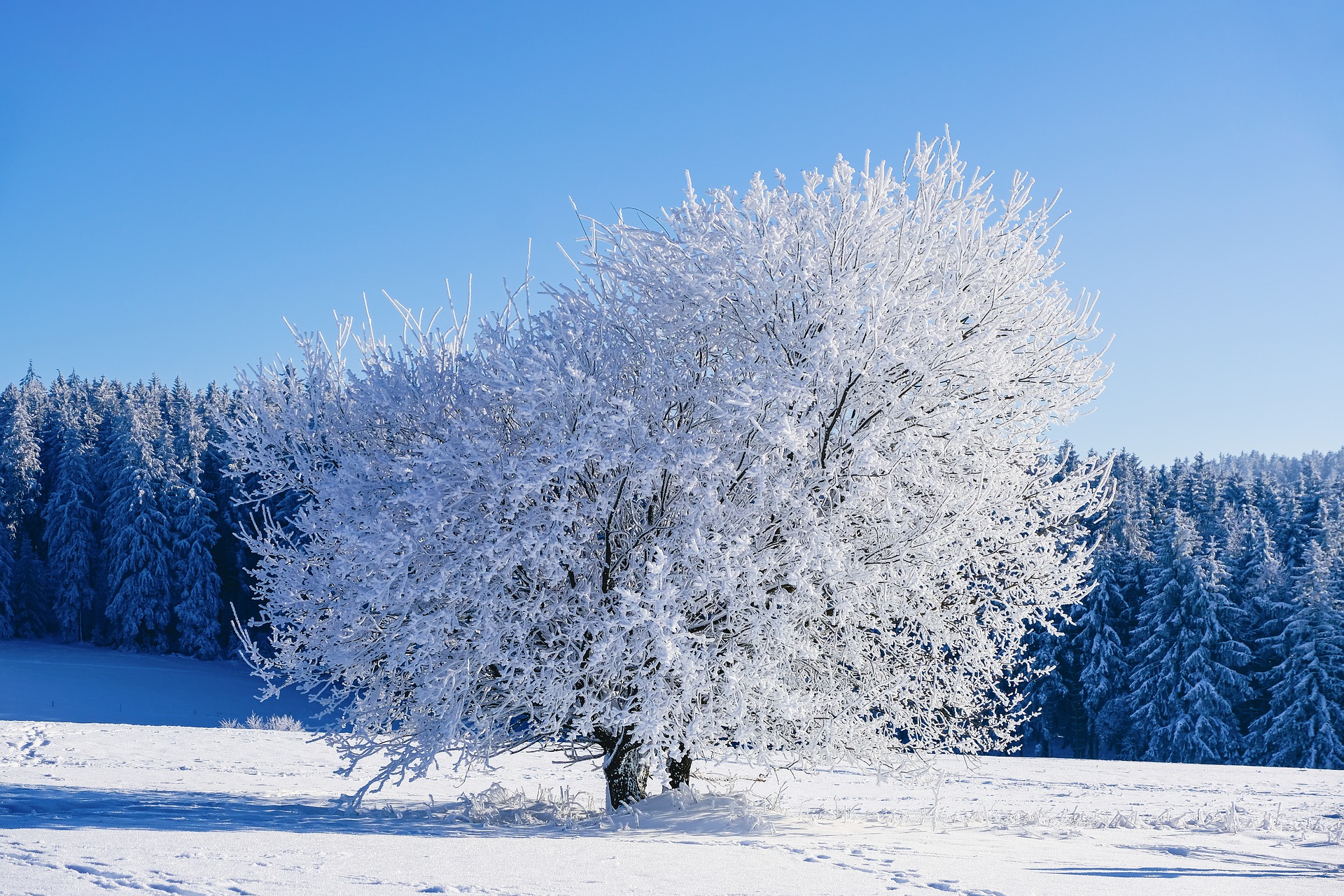 The beauty of winter is evident on a Winter Park, Colorado vacation.