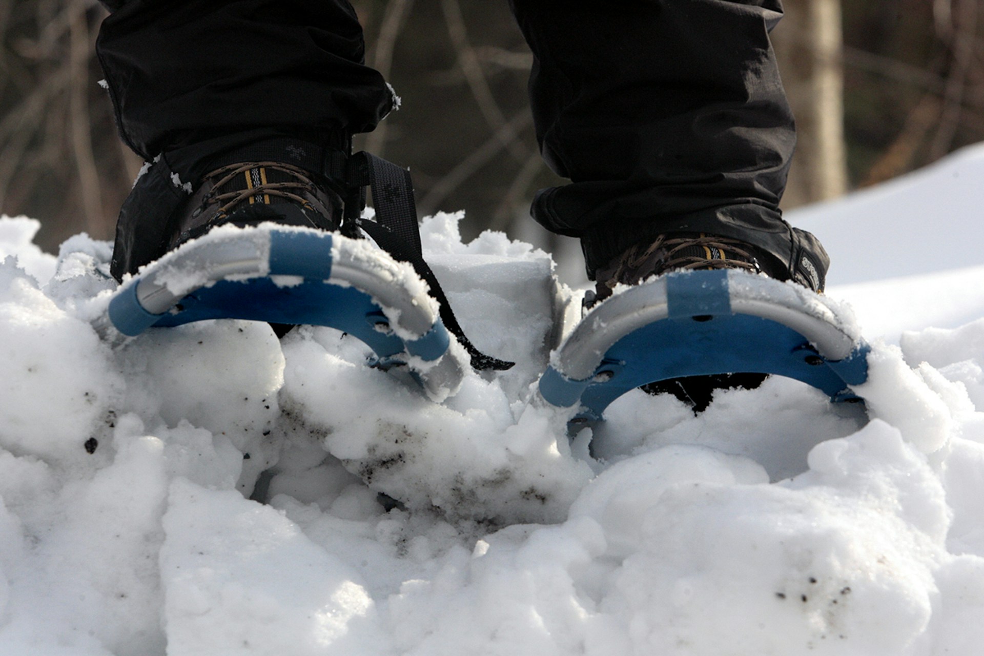 Go snowshoeing in Winter Park