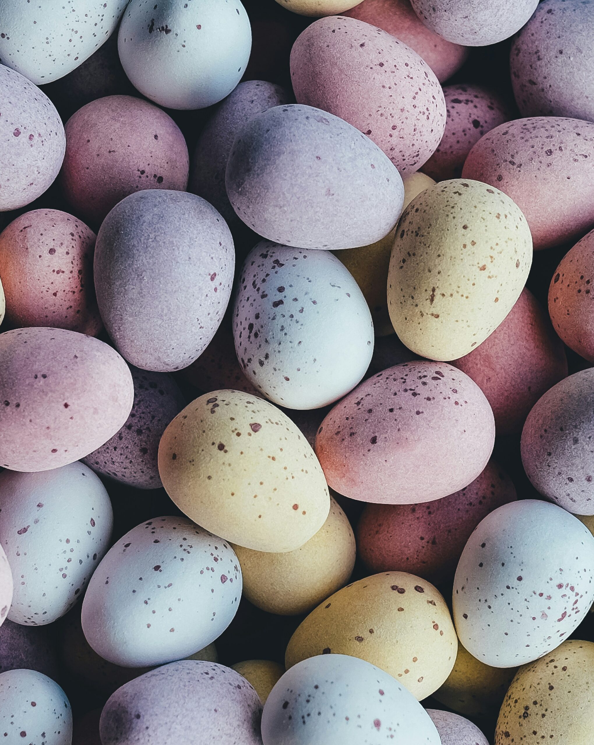 eggs